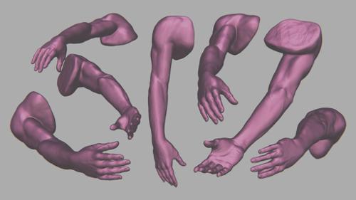 Arm sculpt study preview image